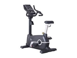 Screen instrument vertical exercise bike