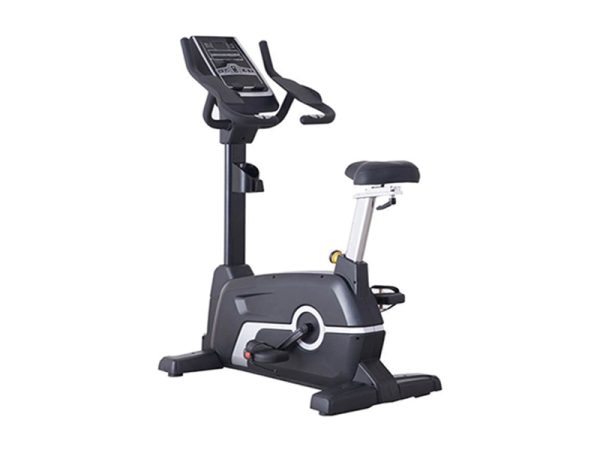 Screen instrument vertical exercise bike
