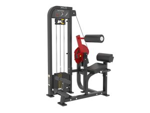Wholesale of fitness equipment and apparatus manufacturers Indoor fitness equipment FM21 back muscle trainer